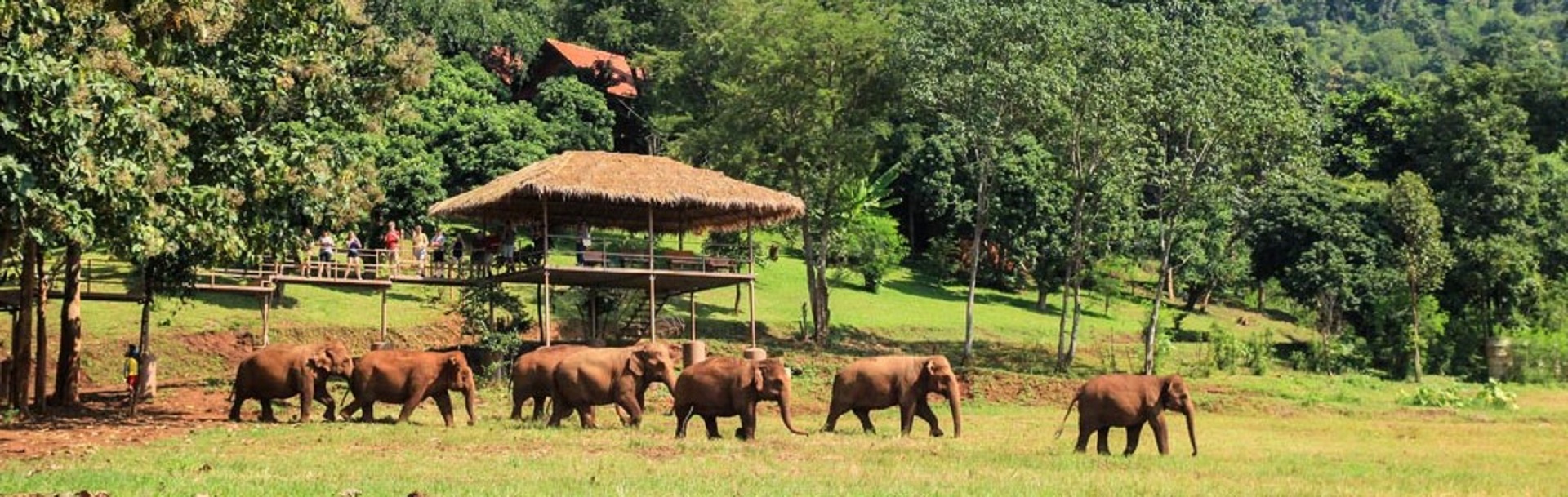 Elephant Nature Park