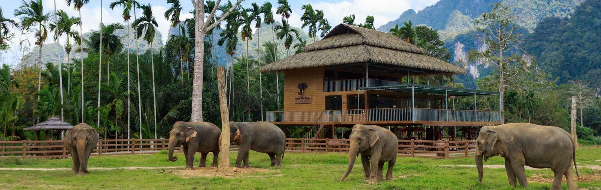 Phuket, Elephant Hills Khao Sok & <br> Khao Lak