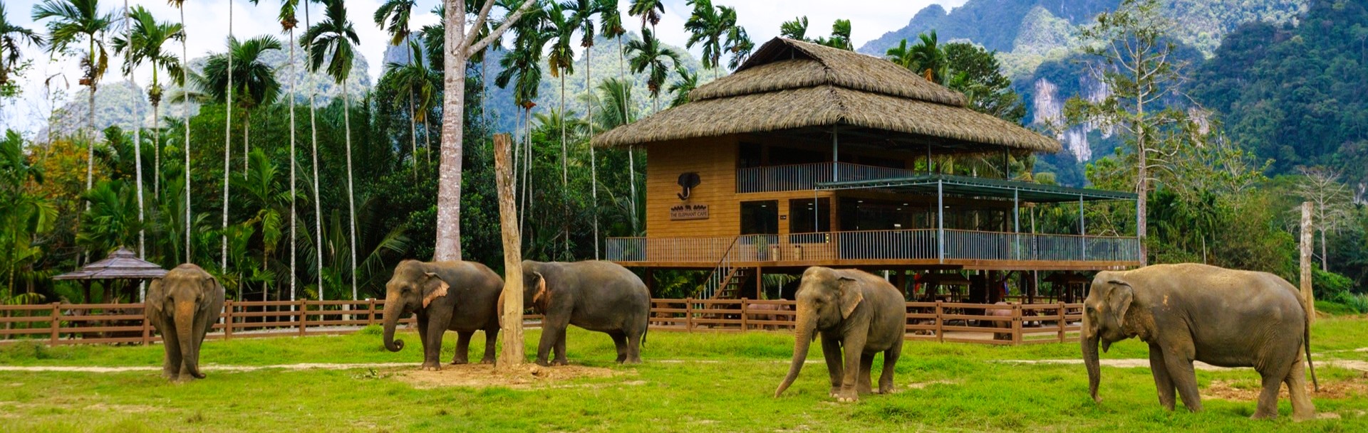 Thai Adventure inc. Elephant Hills 