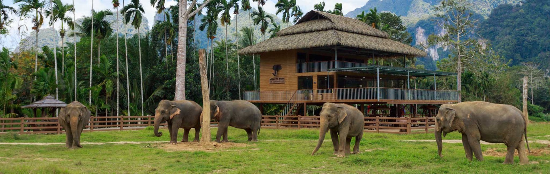 Thai Adventure inc. Elephant Hills