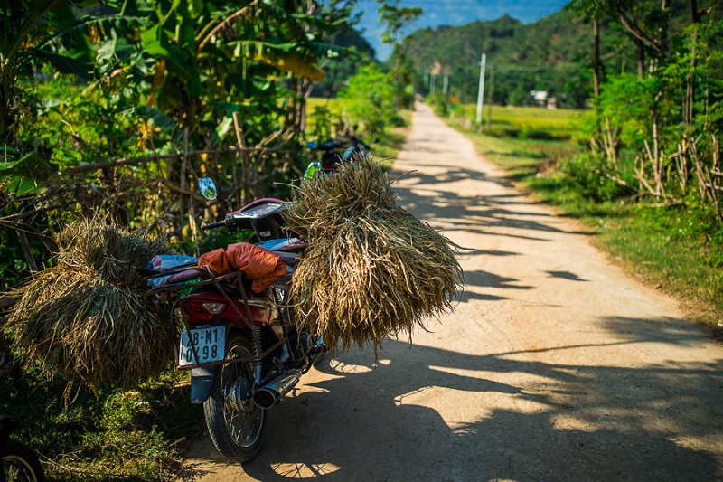 Mai Châu