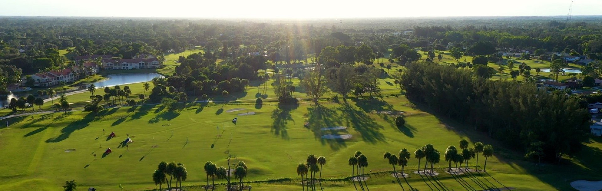 Cover image of The Palm Beaches Florida  