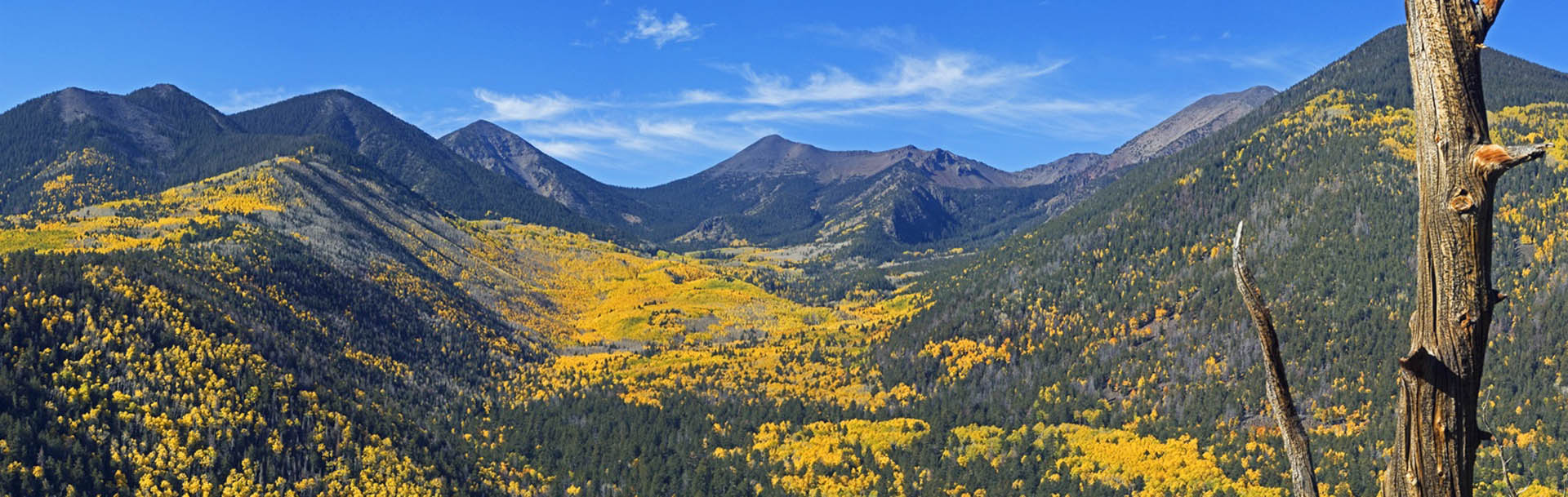 Flagstaff - Arizona