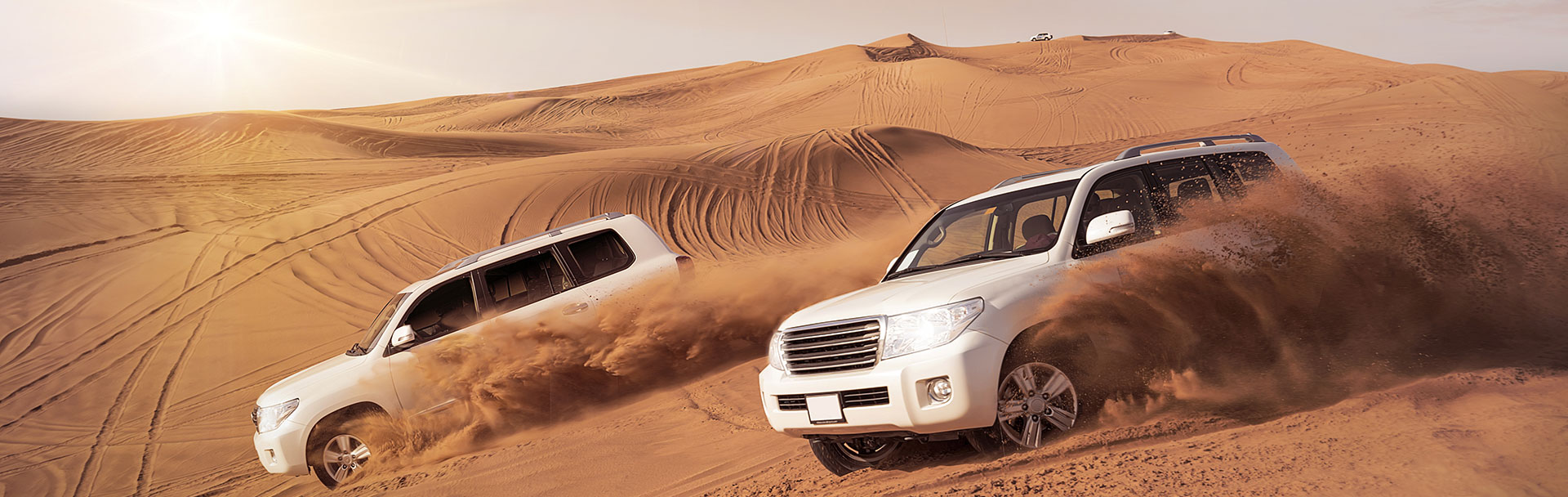 Desert Safari with BBQ Dinner 