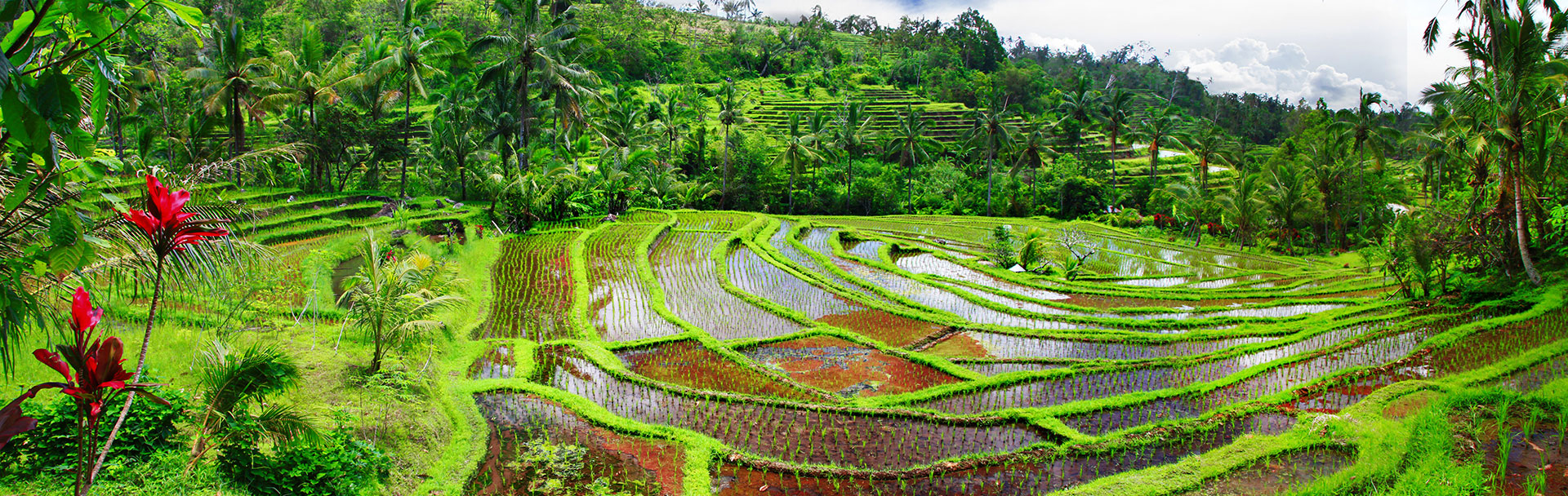 Bali - Ubud, Candidasa & Sanur