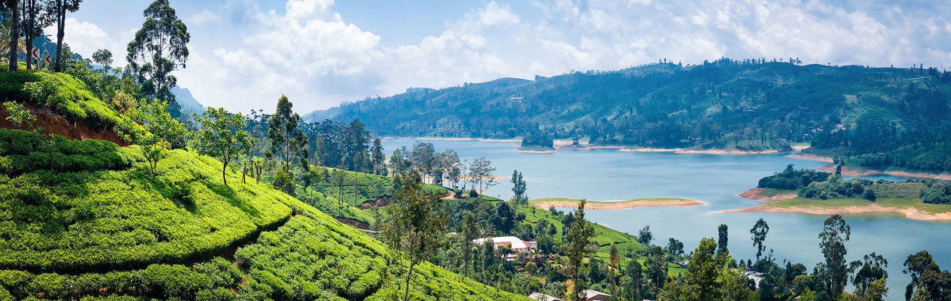 Nuwara Eliya