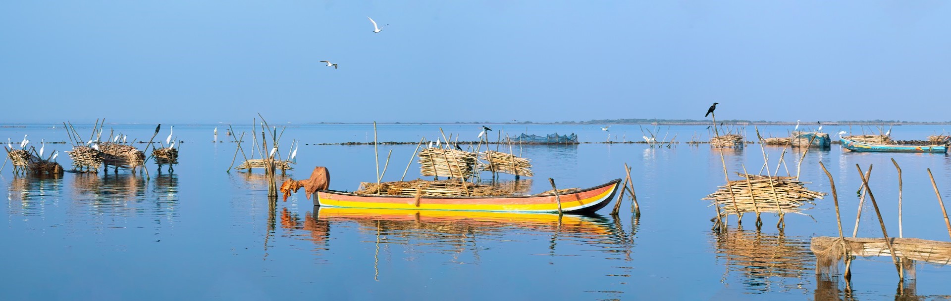 Sri Lanka - North Coast