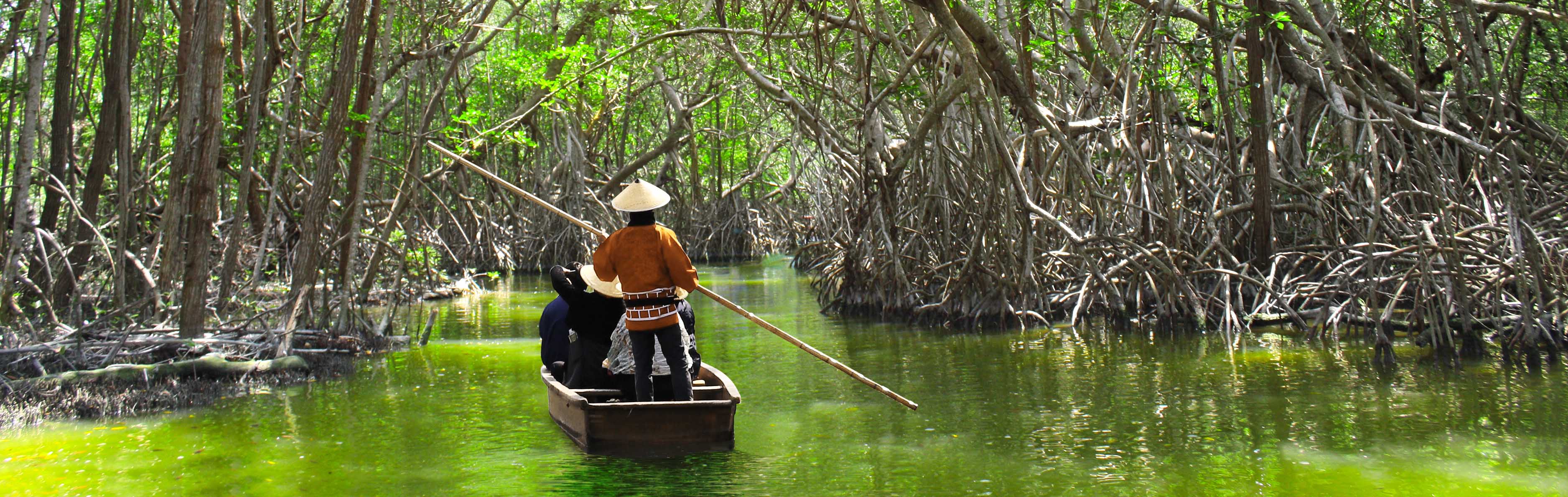 Evergreen Mangrove and Cave Tour