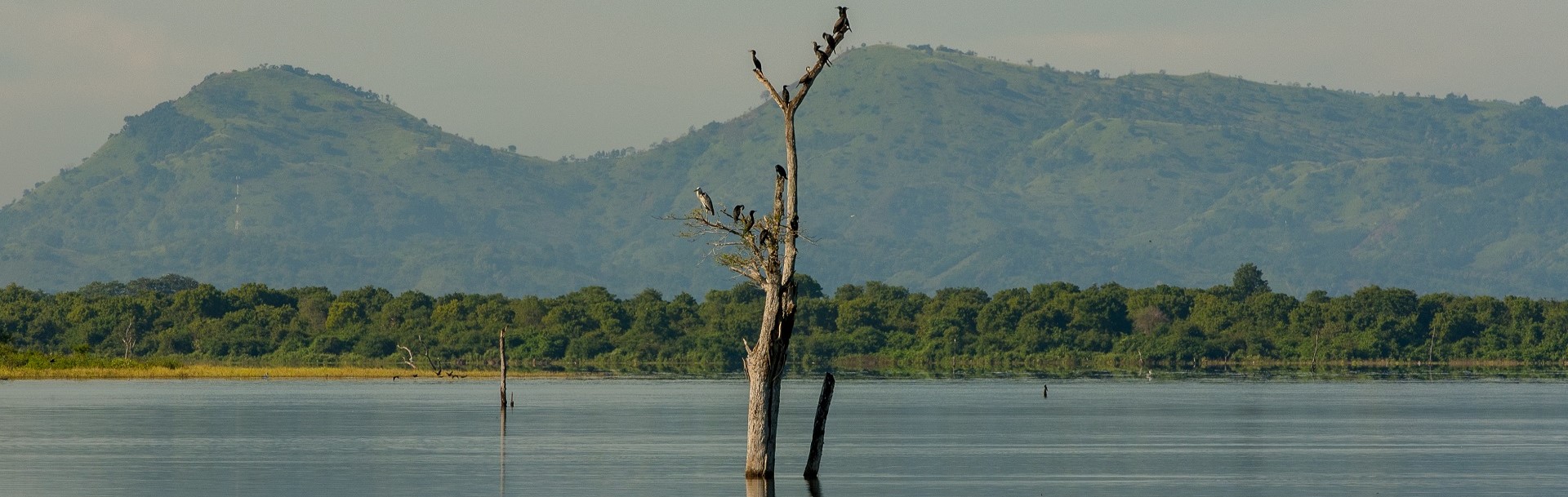 Udawalawe National Park