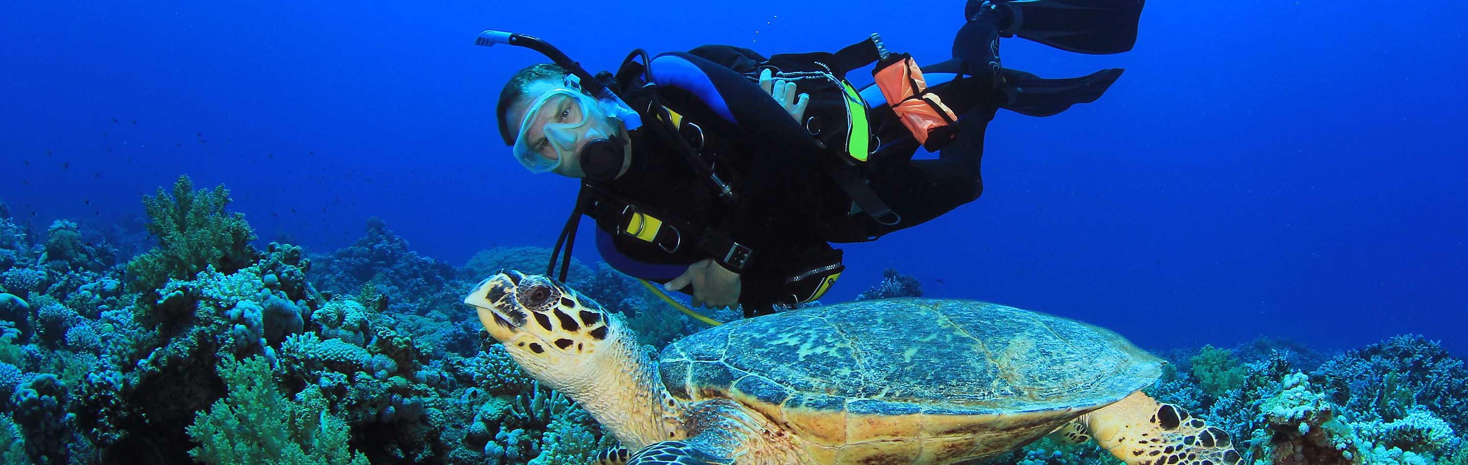 Scuba Diving Maldives