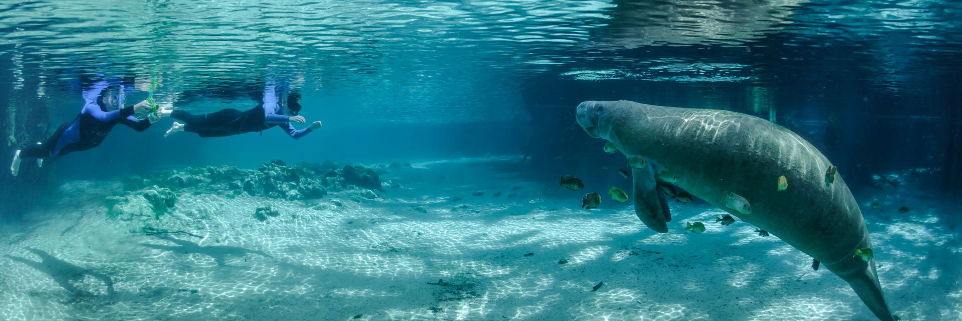 Crystal River, Florida