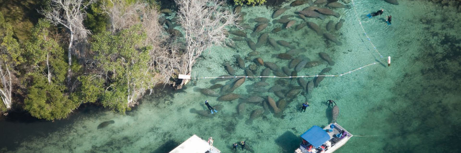 Crystal River, Florida