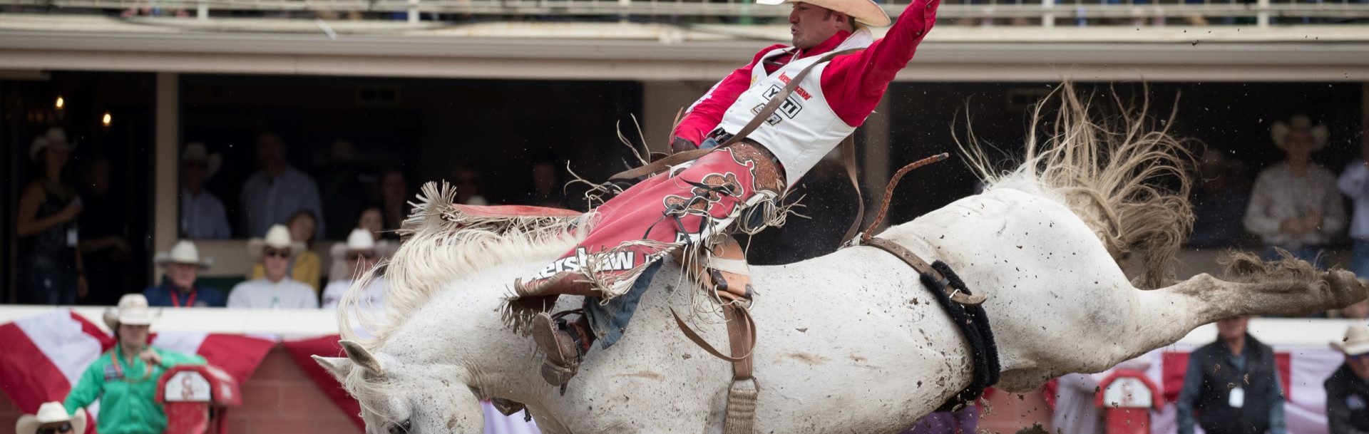 Calgary Stampede Extravaganza