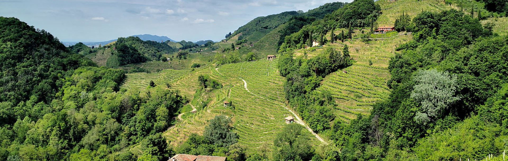 Veneto Region 