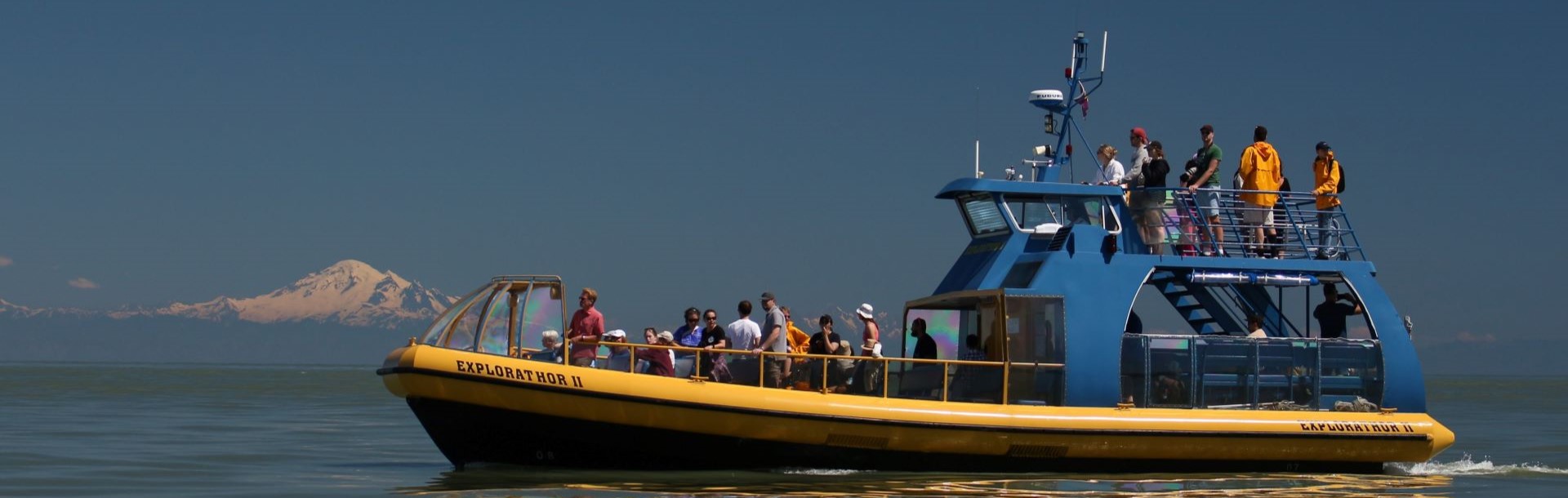 Whale watching in the strait of Georgia