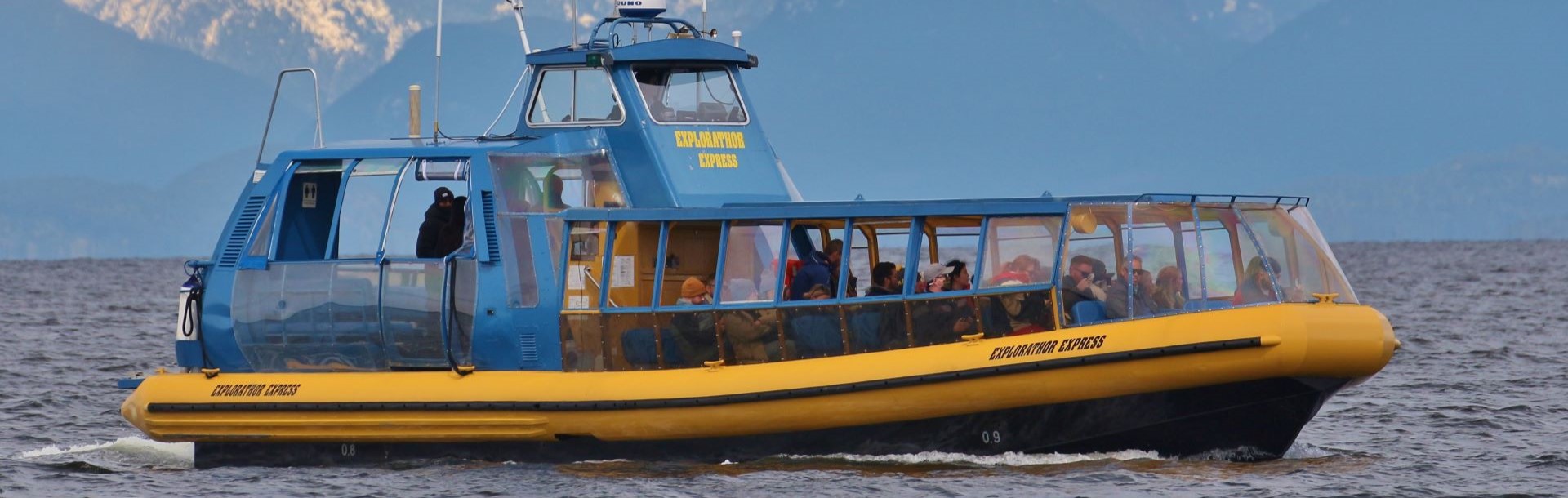 Whale watching in the strait of Georgia