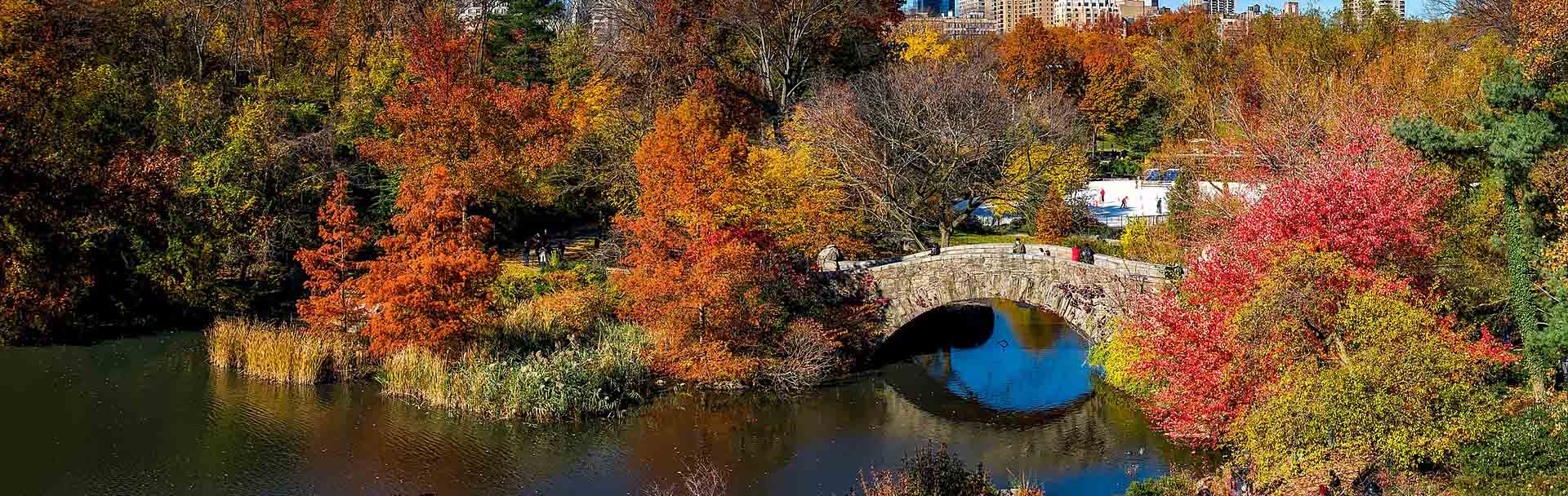 Carriage Ride in Central Park