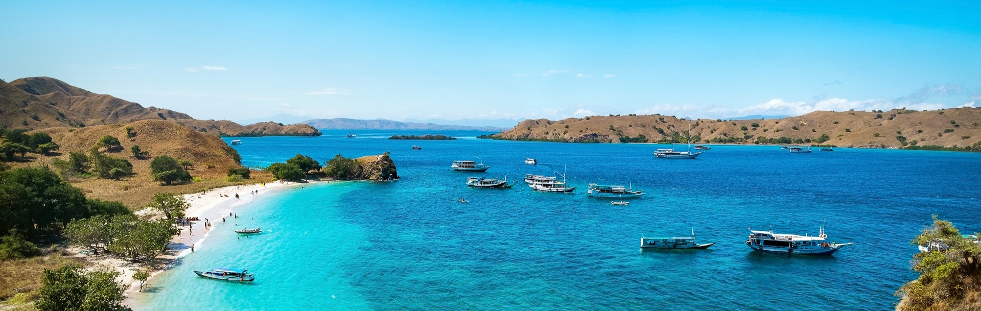 Flores Island ( Komodo )