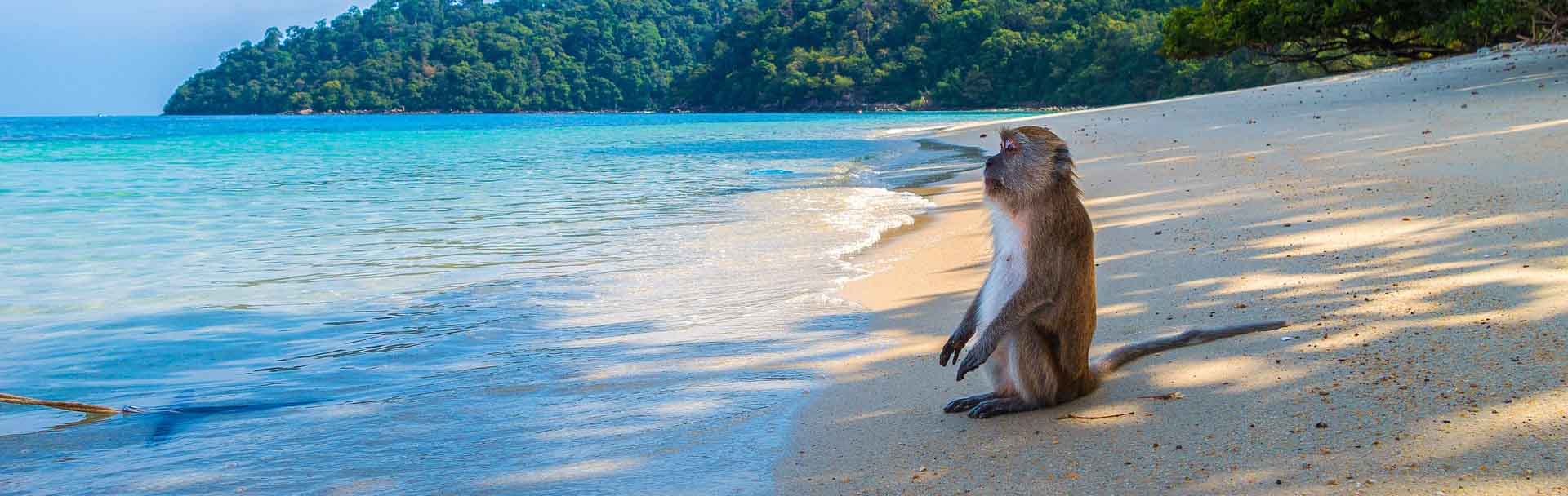 Koh Tao and Koh Nang Yuan