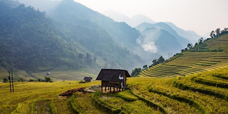 Sapa
