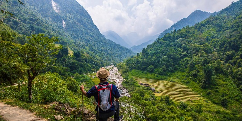 Sapa