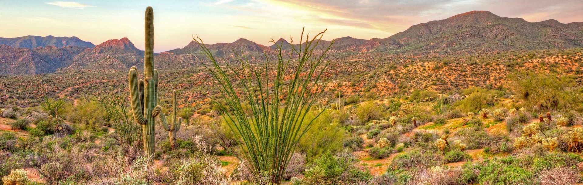 Scottsdale, Arizona