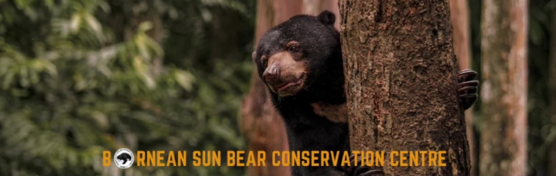 Bornean Sun Bear Conservation Centre