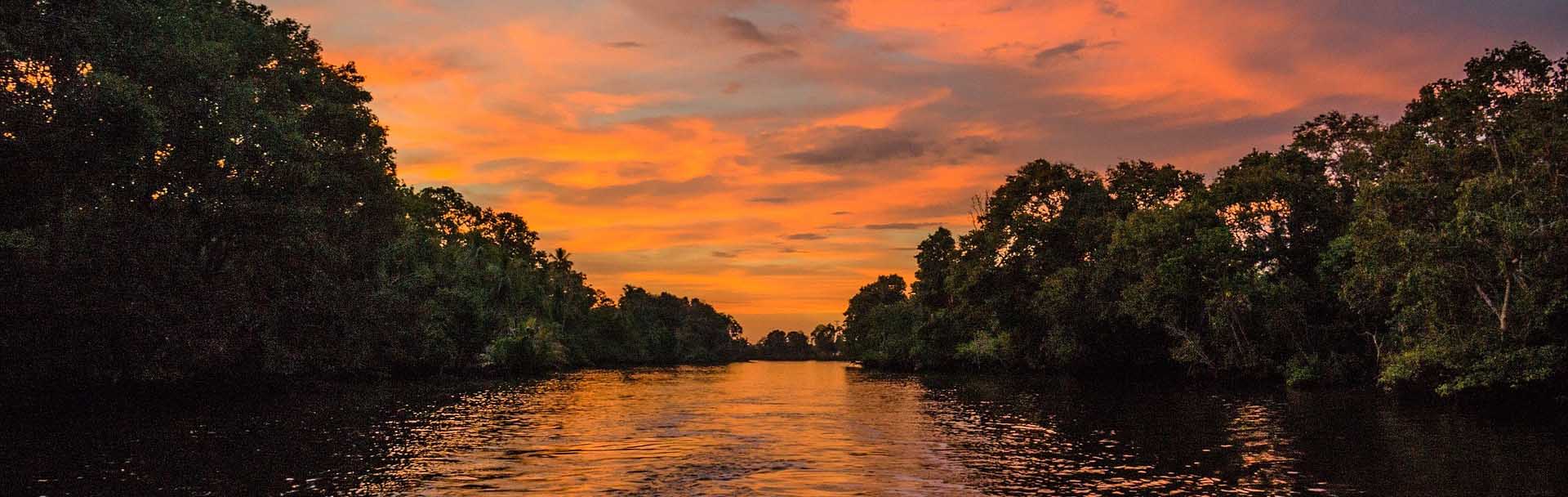 Evergreen Mangrove and Cave Tour