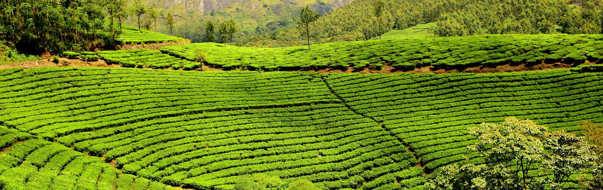 Ubud