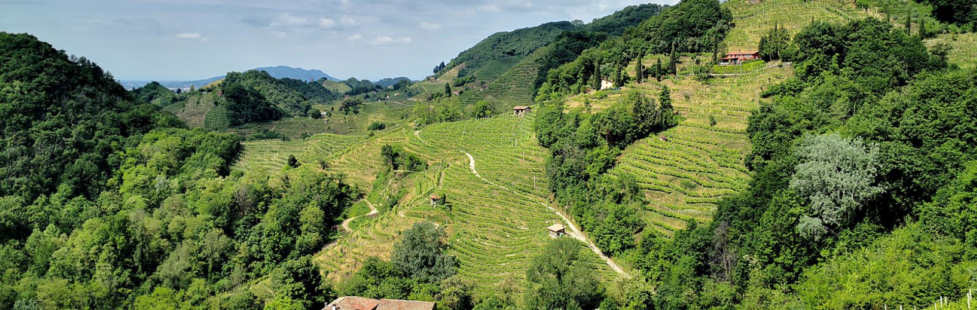 Cover image of Northern Italy prosecco tour with tastings & car hire