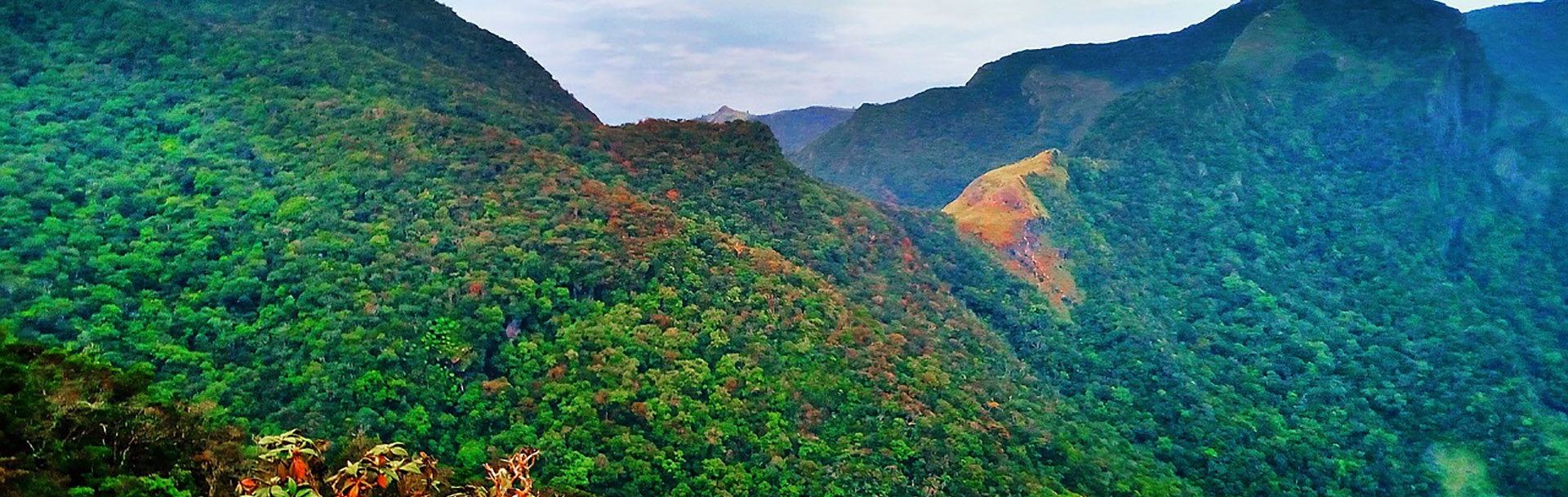 Nuwara Eliya